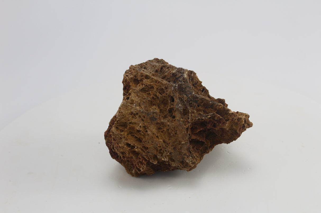 Sera Rock Grand Canyon para acuario