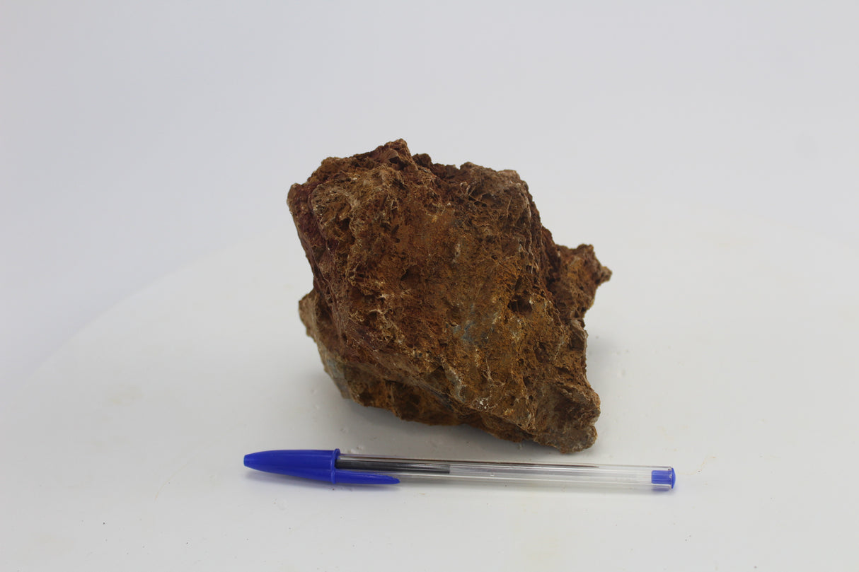 Sera Rock Grand Canyon para acuario