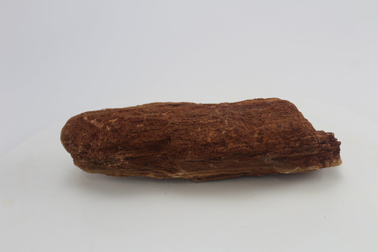 Sera Rock Grand Canyon para acuario