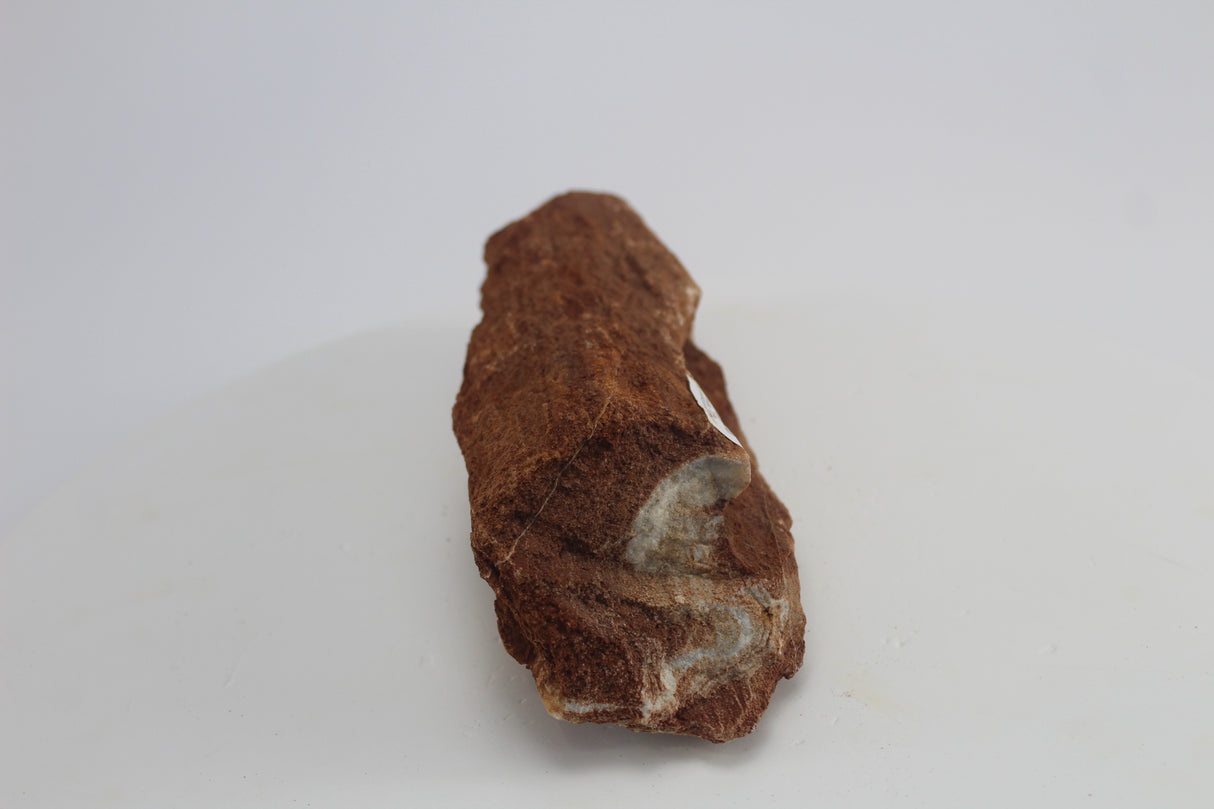 Sera Rock Grand Canyon para acuario