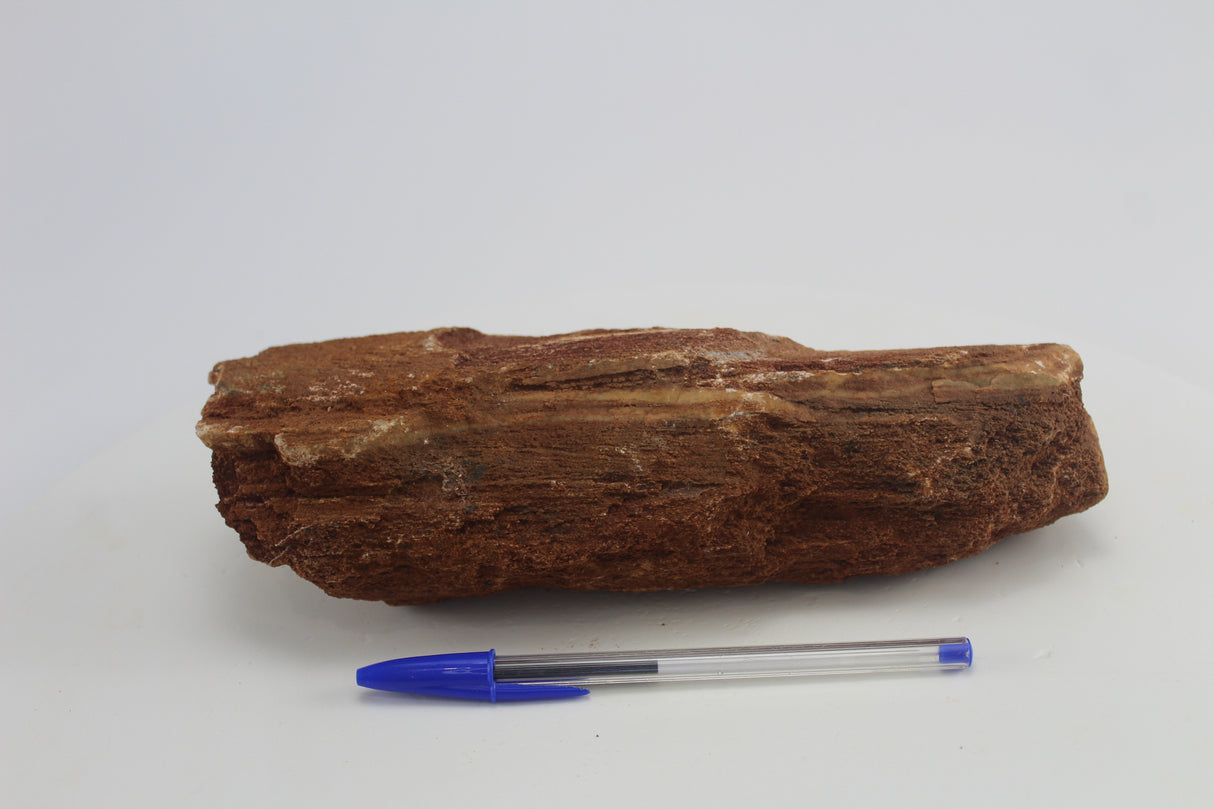 Sera Rock Grand Canyon para acuario