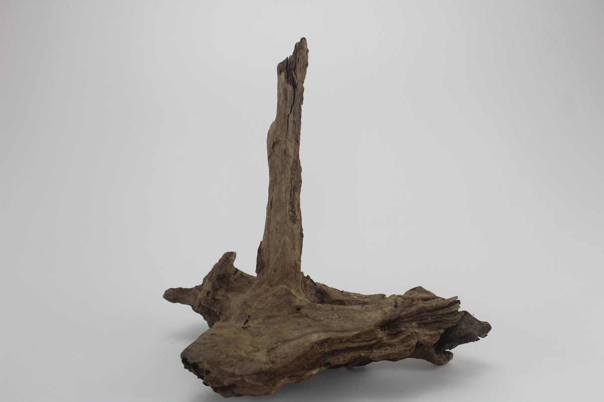 Tronco Kim Chi Wood para acuario