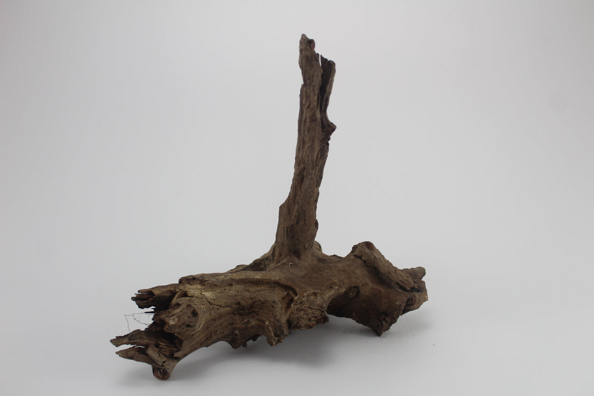 Tronco Kim Chi Wood para acuario