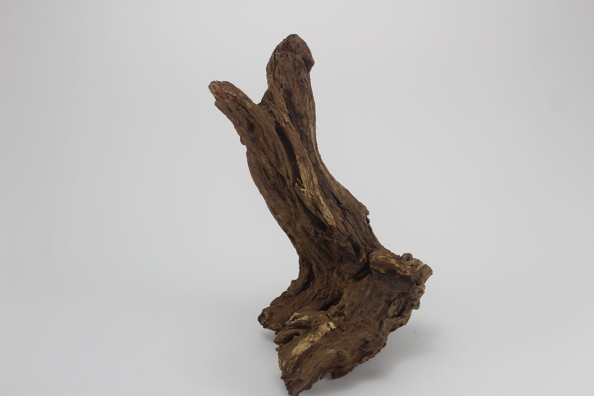 Tronco Kim Chi Wood para acuario