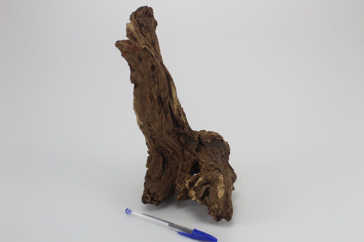 Tronco Kim Chi Wood para acuario