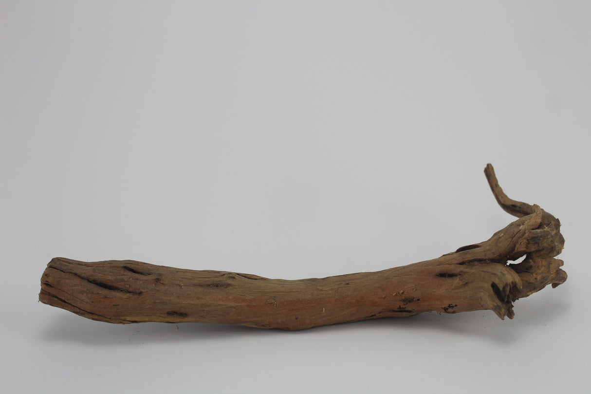 Tronco Kim Chi Wood para acuario