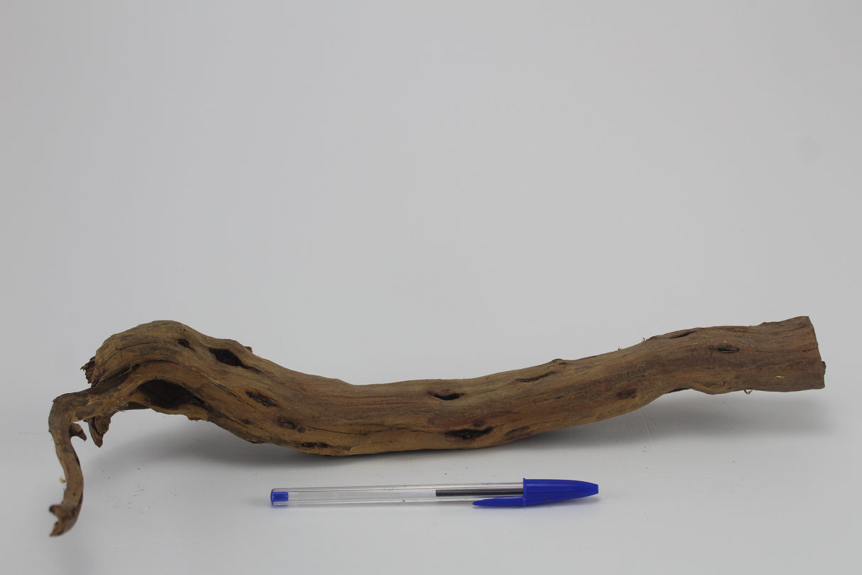 Tronco Kim Chi Wood para acuario