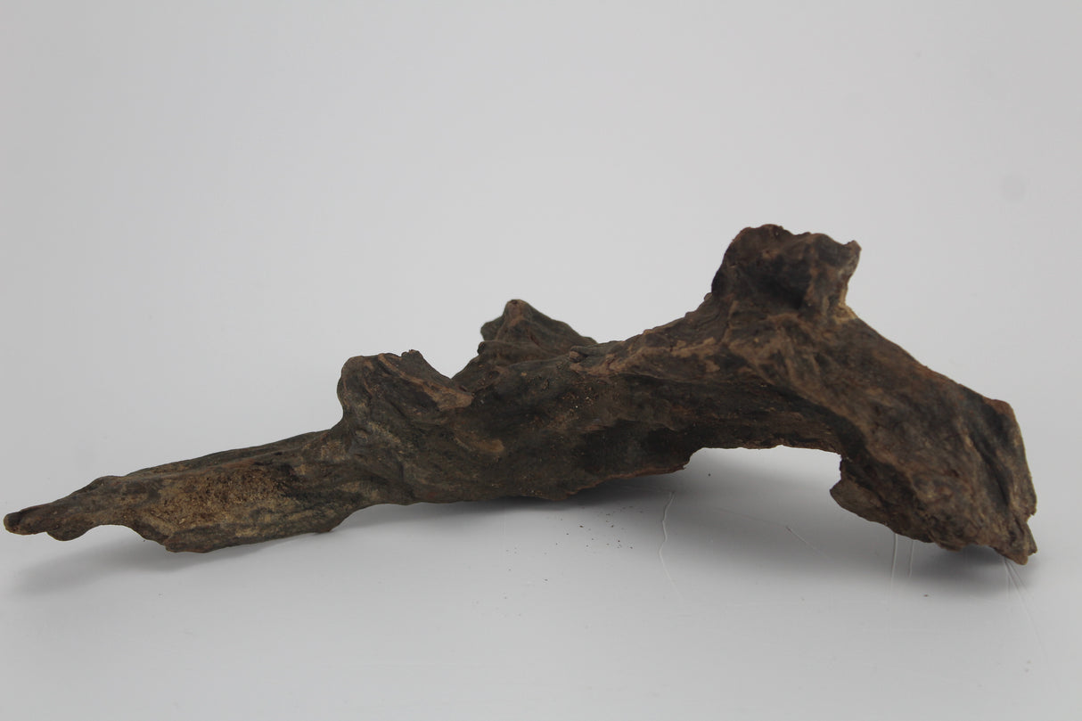 Tronco Kim Chi Wood para acuario