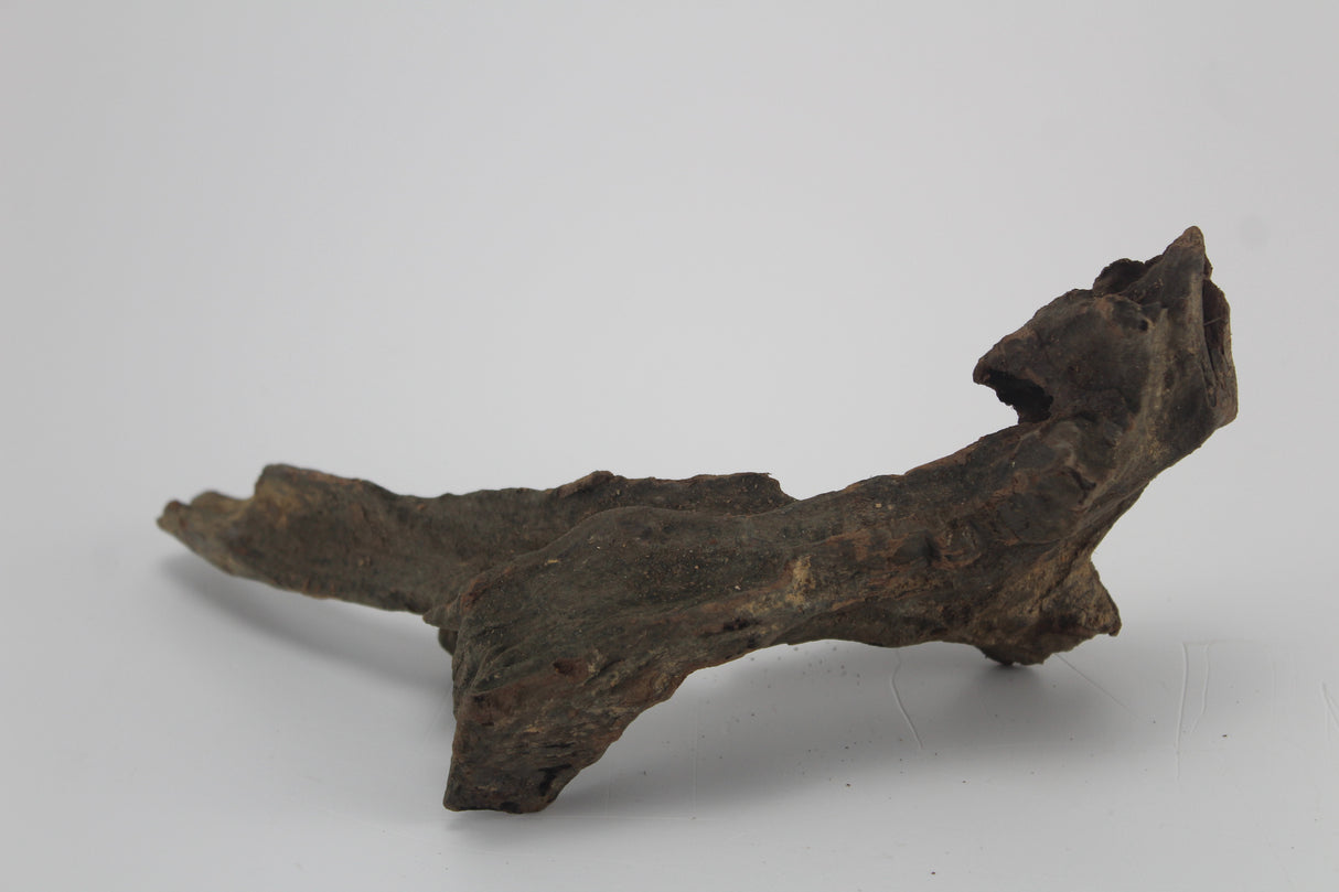 Tronco Kim Chi Wood para acuario