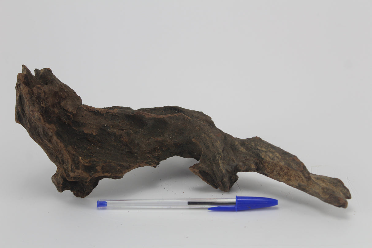 Tronco Kim Chi Wood para acuario