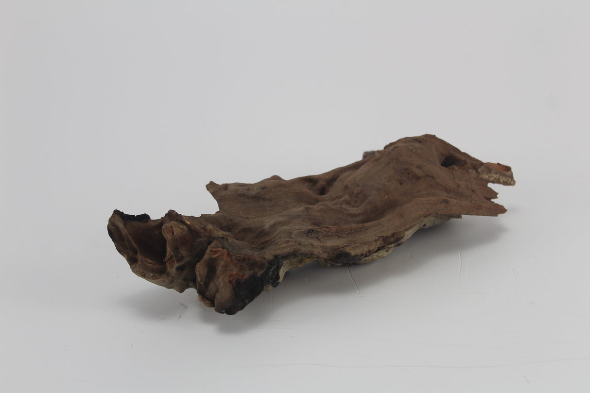 Tronco Kim Chi Wood para acuario