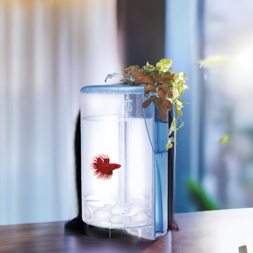 Kit Betta Flora LED de 2L