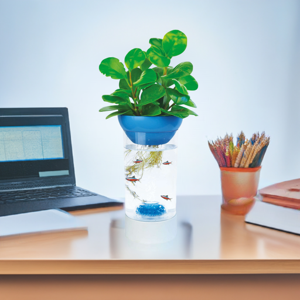 Kit Pecera - Betera NATURE