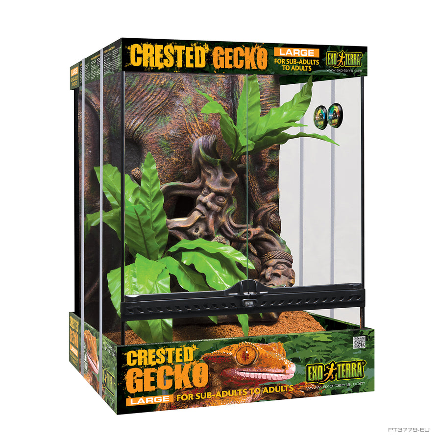 Terrario para Gecko Crestado Exo Terra