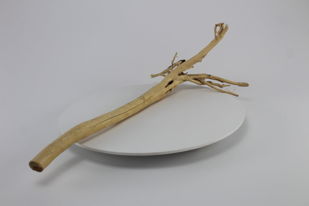 Tronco Lin Sam para acuario