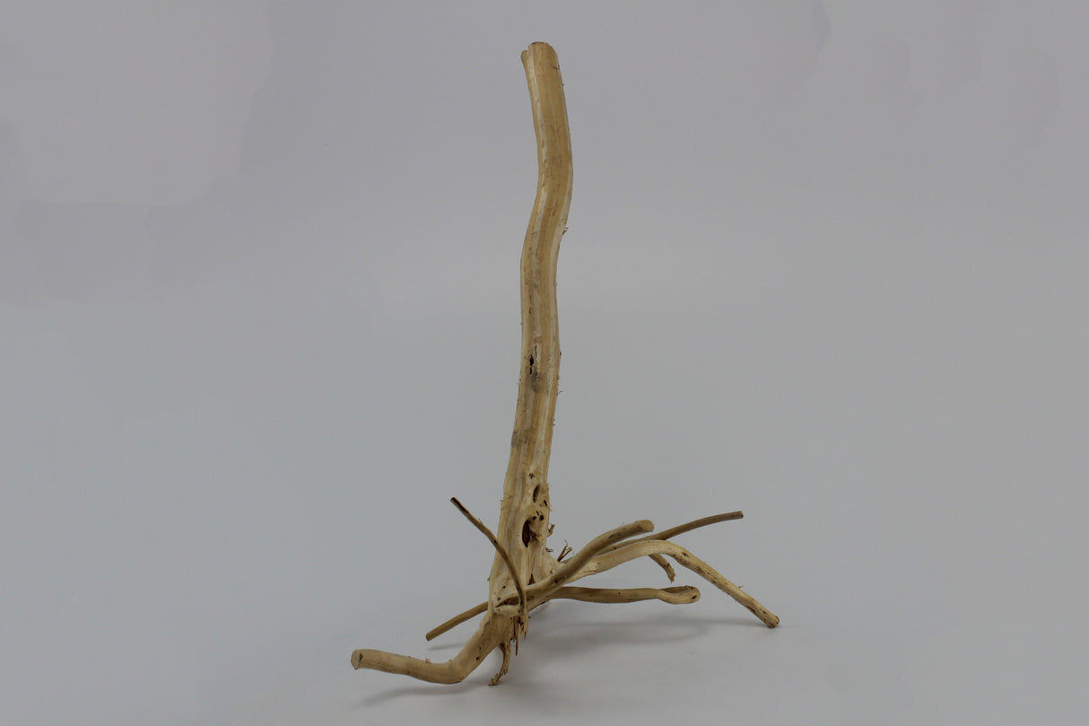 Tronco Lin Sam para acuario