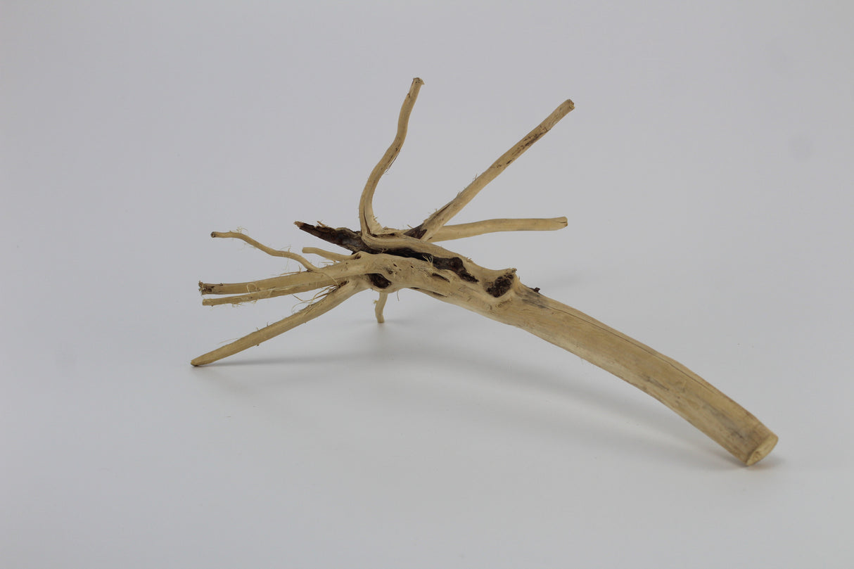 Tronco Lin Sam para acuario