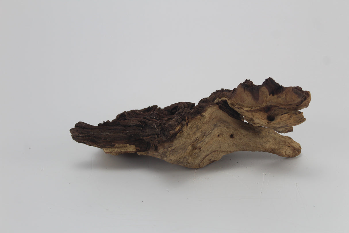 Tronco Mopani para acuario