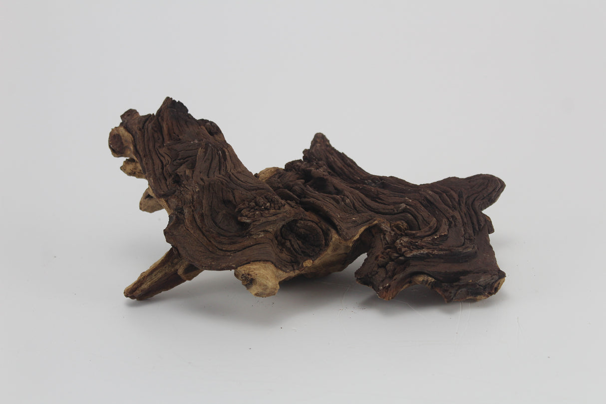 Tronco Mopani para acuario