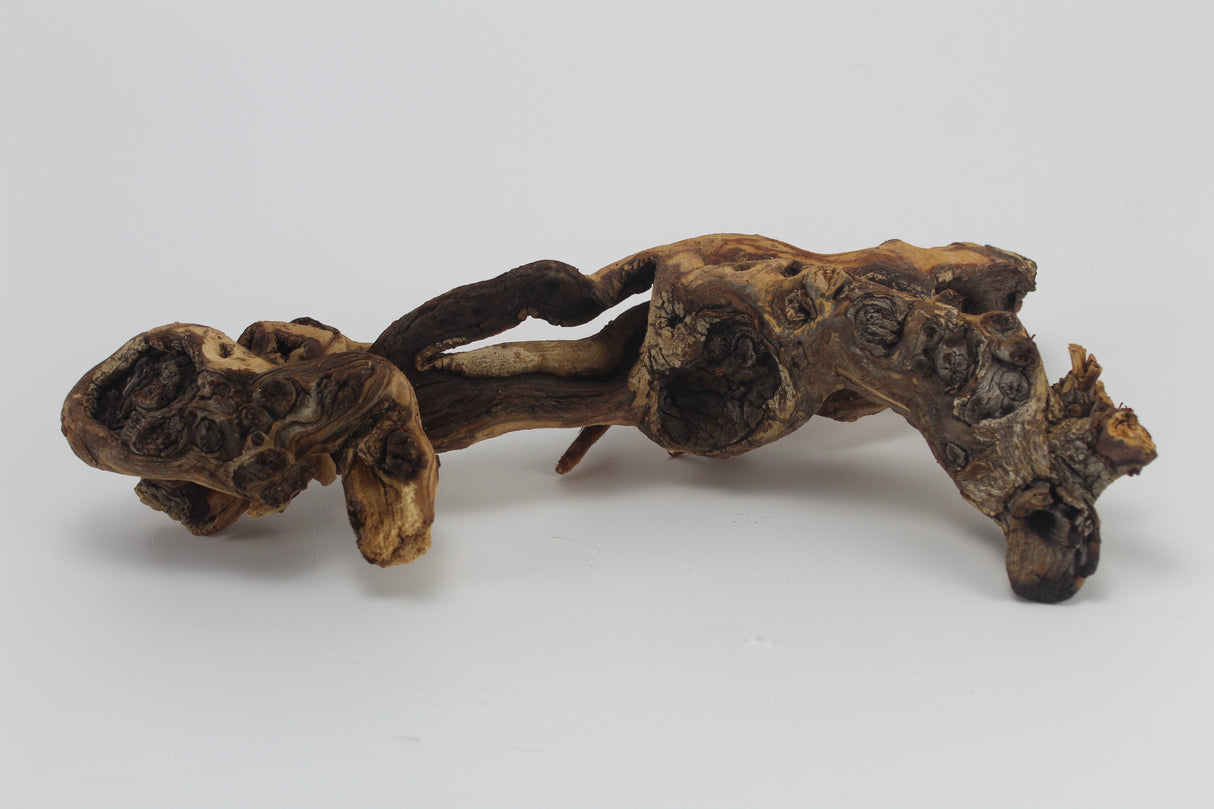 Tronco Mopani para acuario