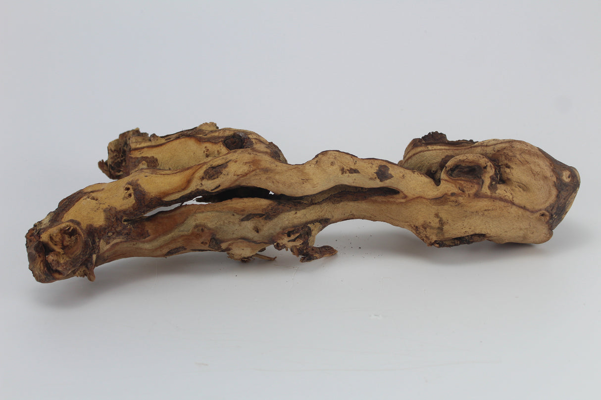 Tronco Mopani para acuario