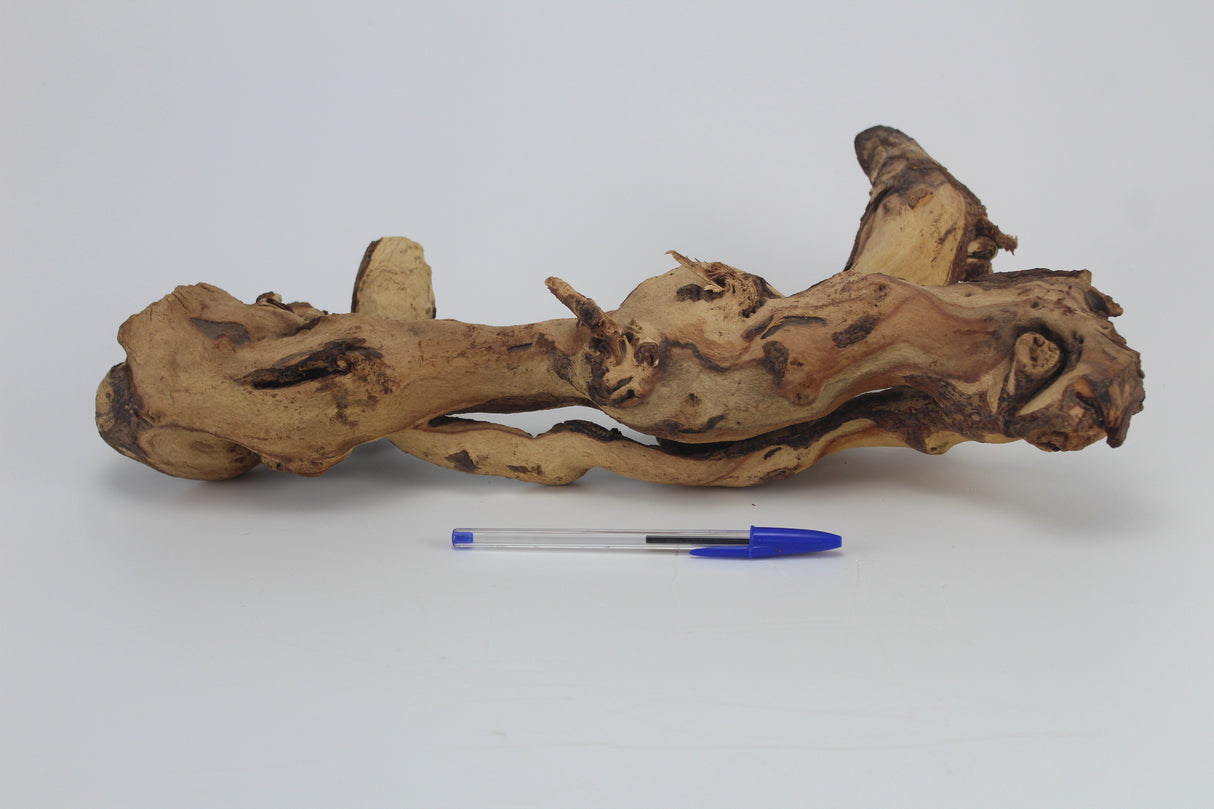 Tronco Mopani para acuario