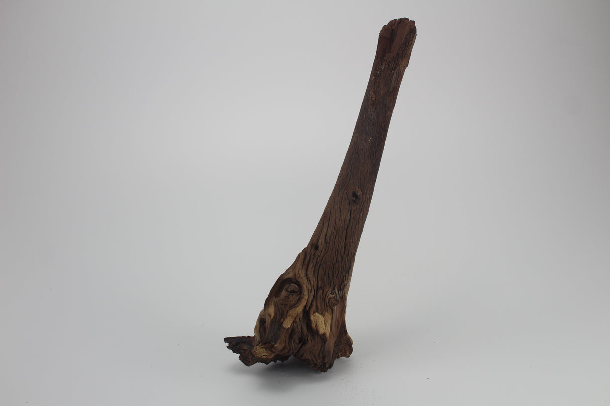 Tronco Mopani para acuario
