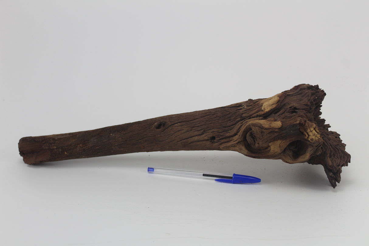 Tronco Mopani para acuario