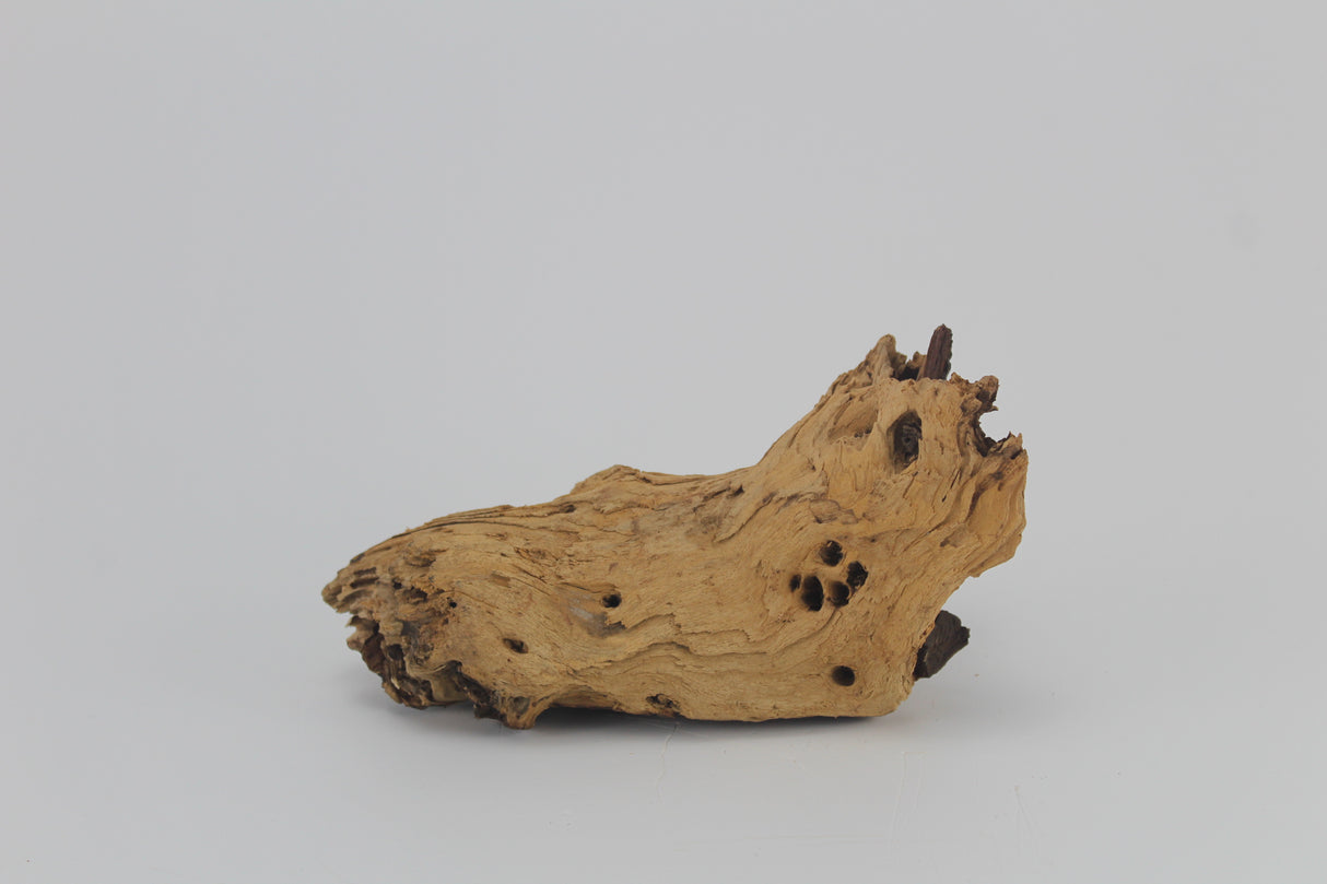 Tronco Mopani para acuario