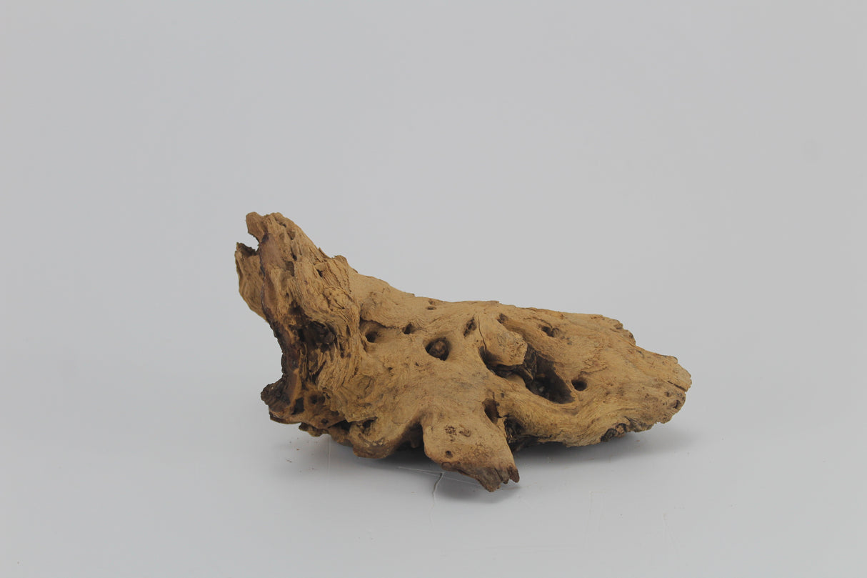 Tronco Mopani para acuario