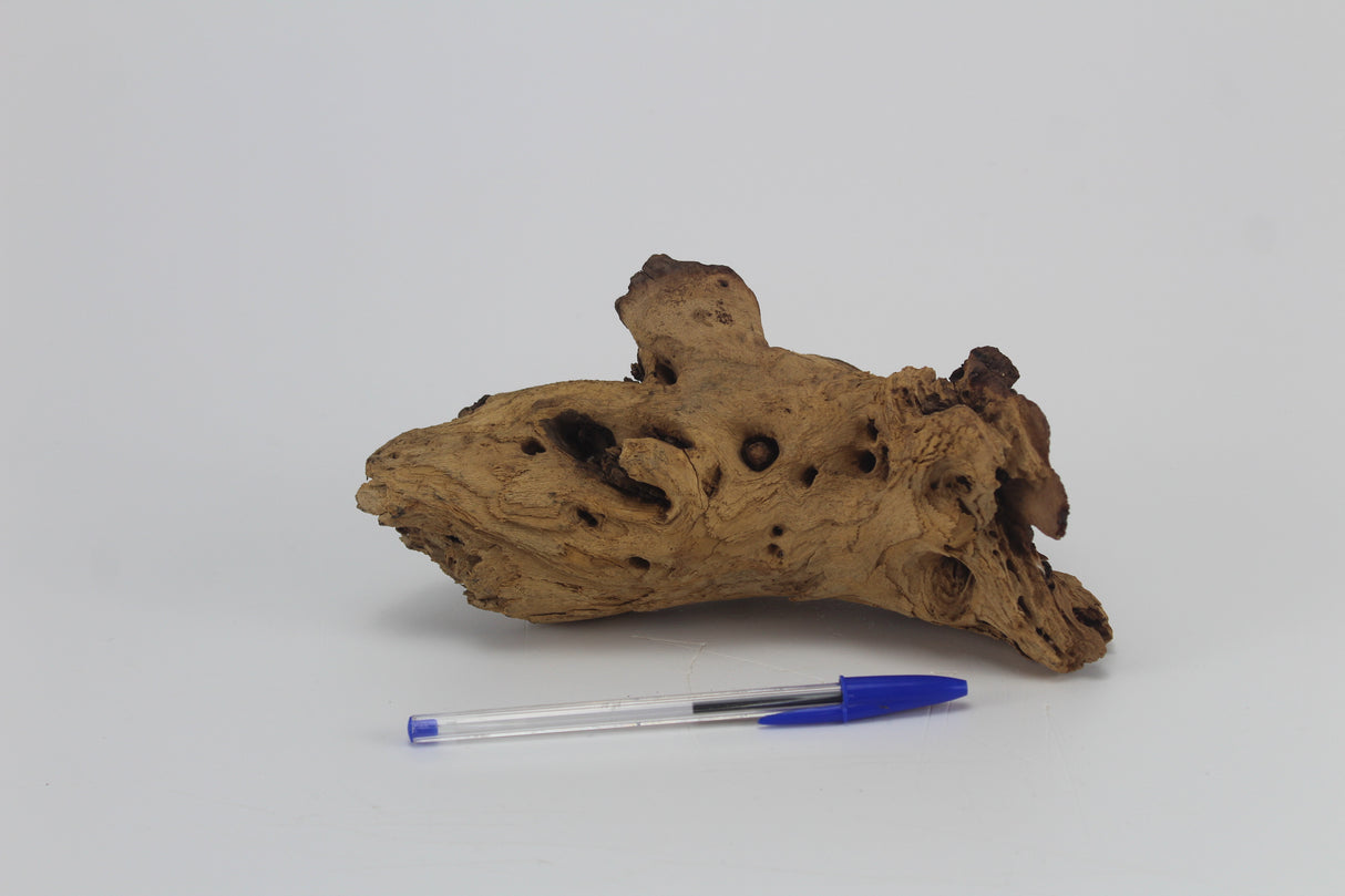 Tronco Mopani para acuario