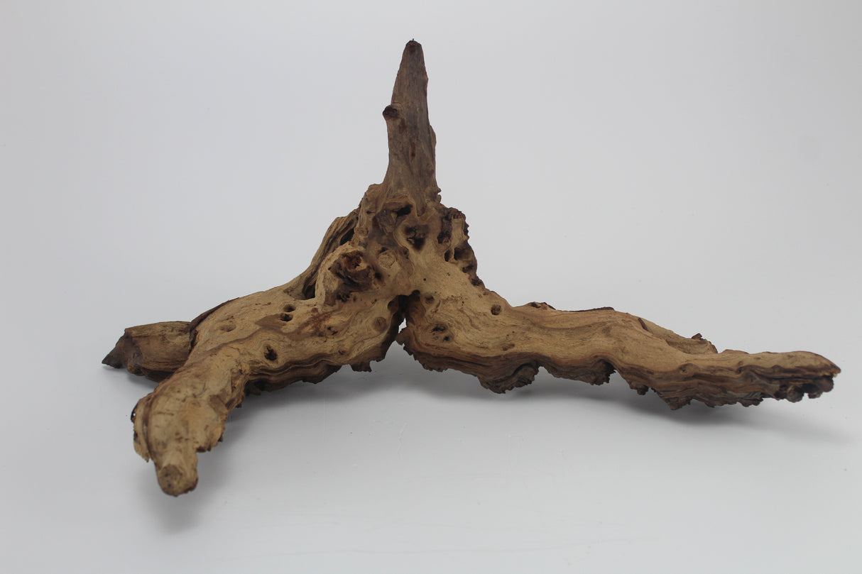 Tronco Mopani para acuario