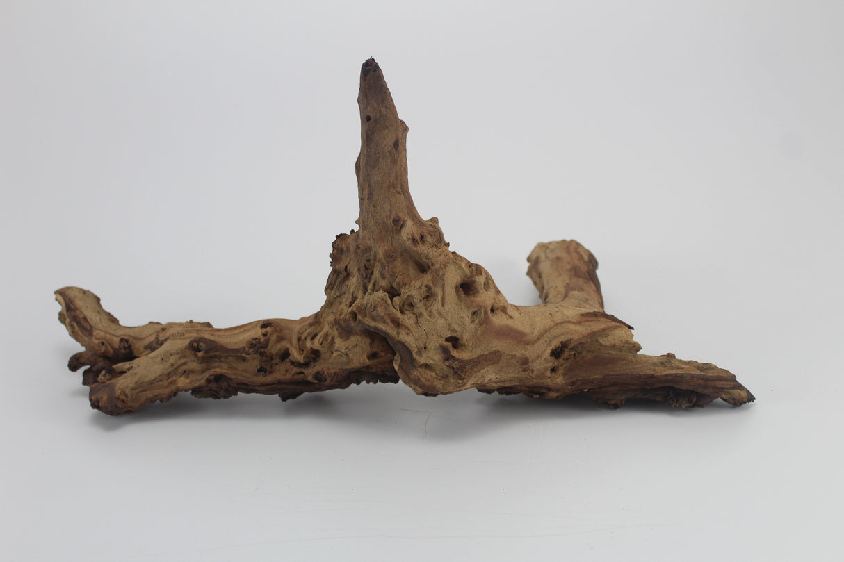 Tronco Mopani para acuario