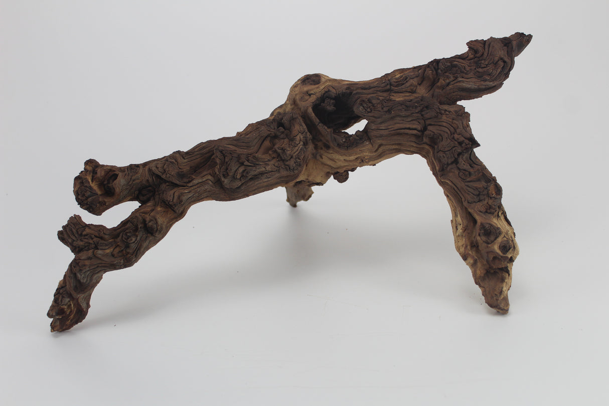 Tronco Mopani para acuario