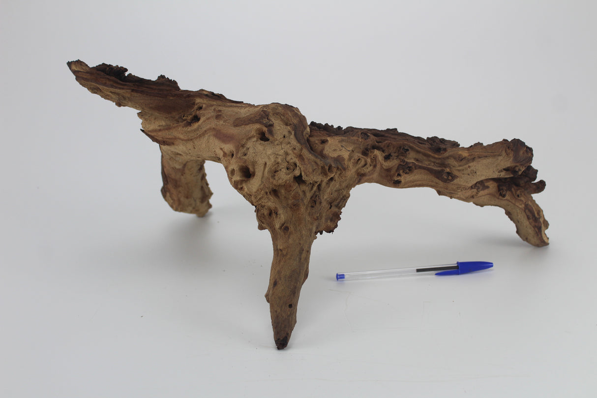 Tronco Mopani para acuario
