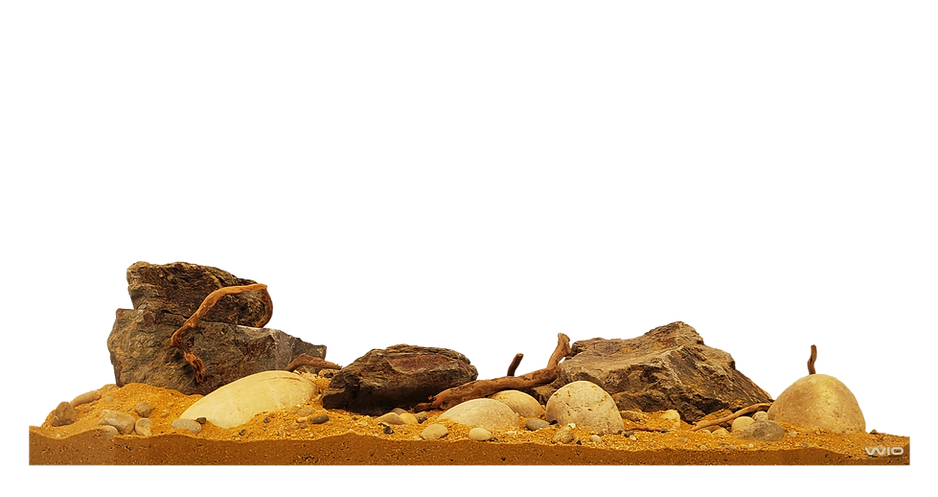 Kit de decoración WIO MERE