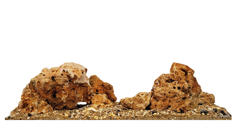 Kit de decoración WIO NAUTILUS TAN