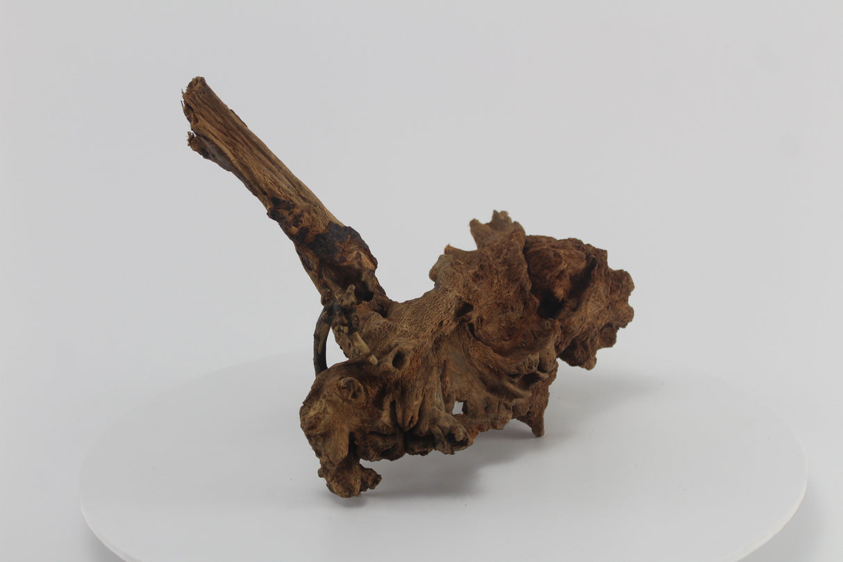 Raíz Opuwa para acuario