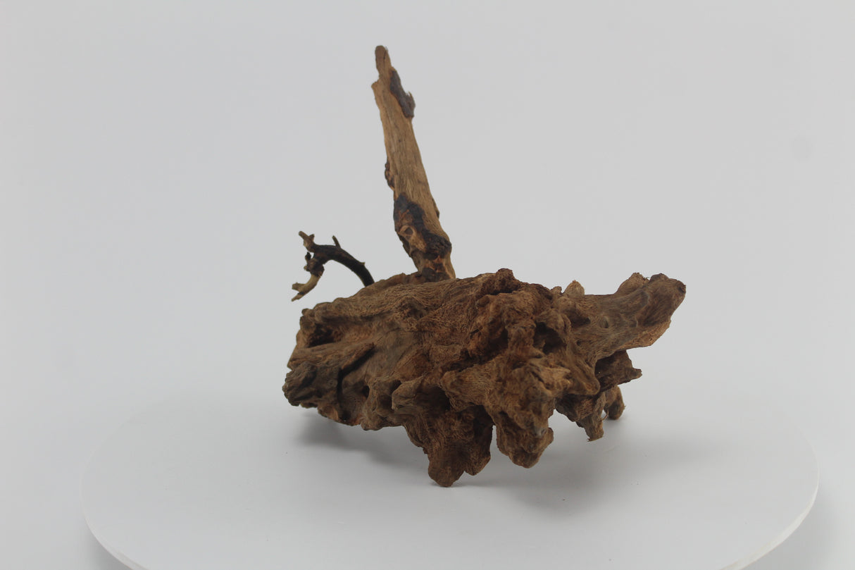 Raíz Opuwa para acuario