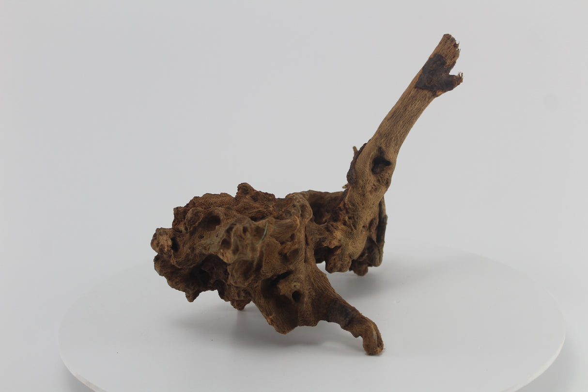 Raíz Opuwa para acuario