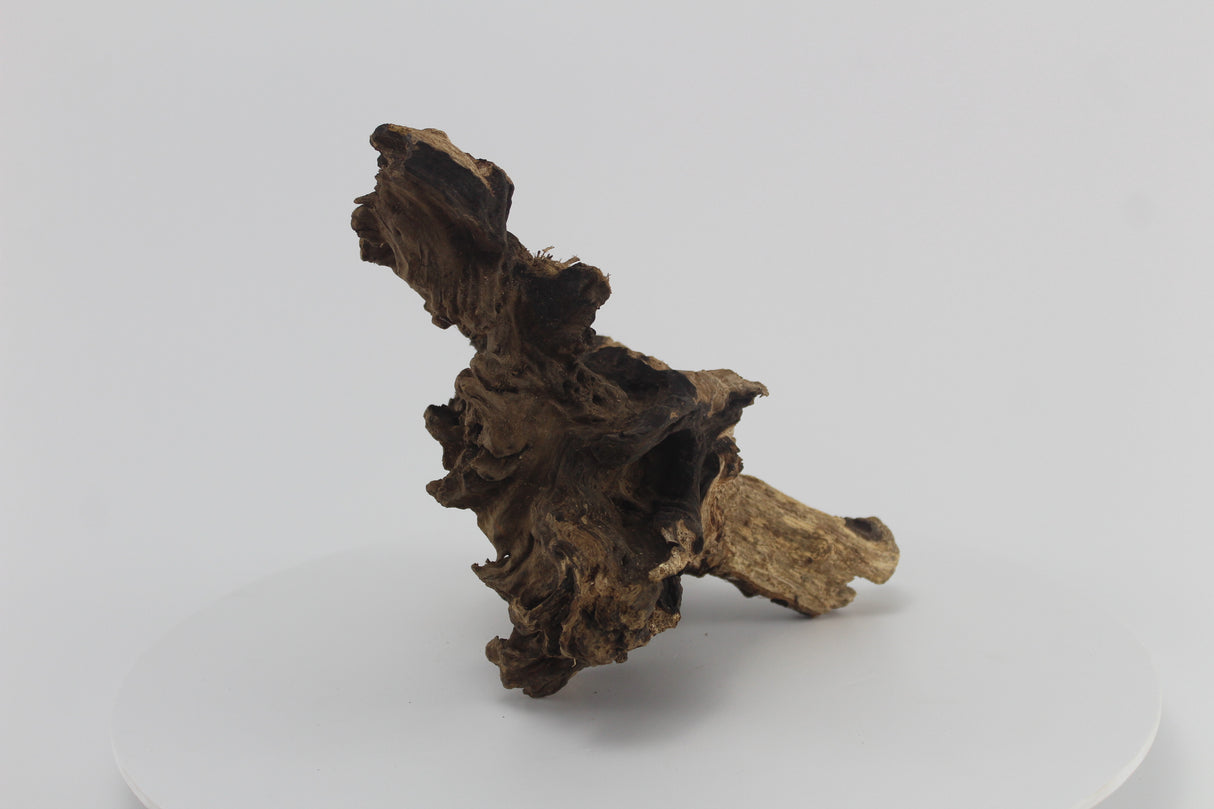 Raíz Opuwa para acuario