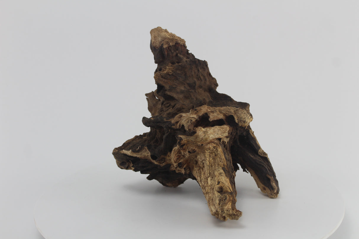 Raíz Opuwa para acuario