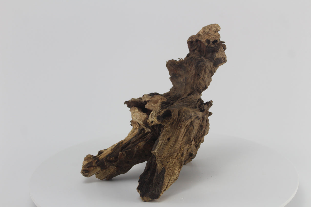 Raíz Opuwa para acuario