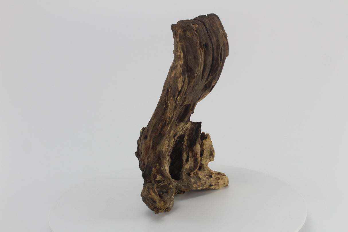 Raíz Opuwa para acuario