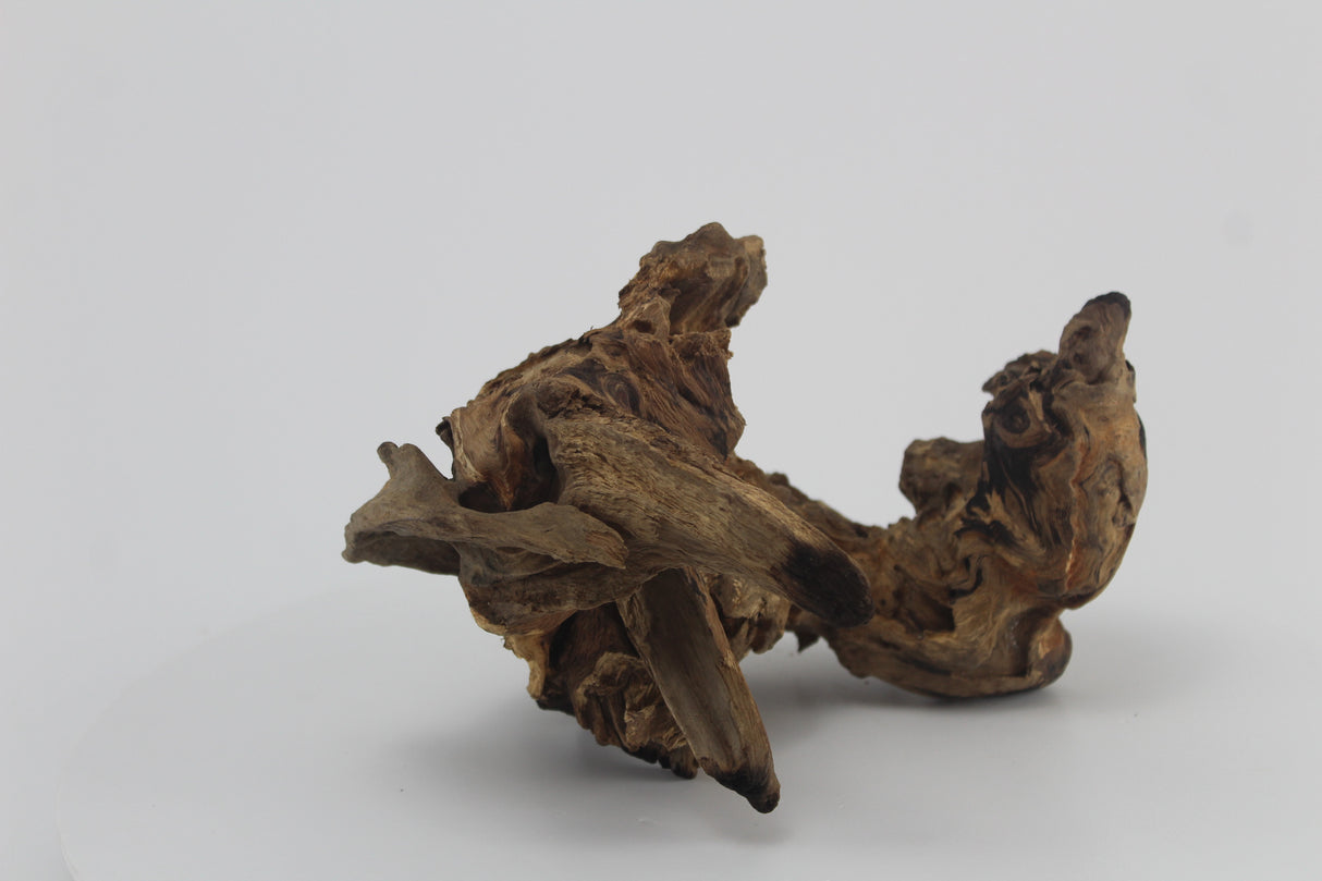 Raíz Opuwa para acuario