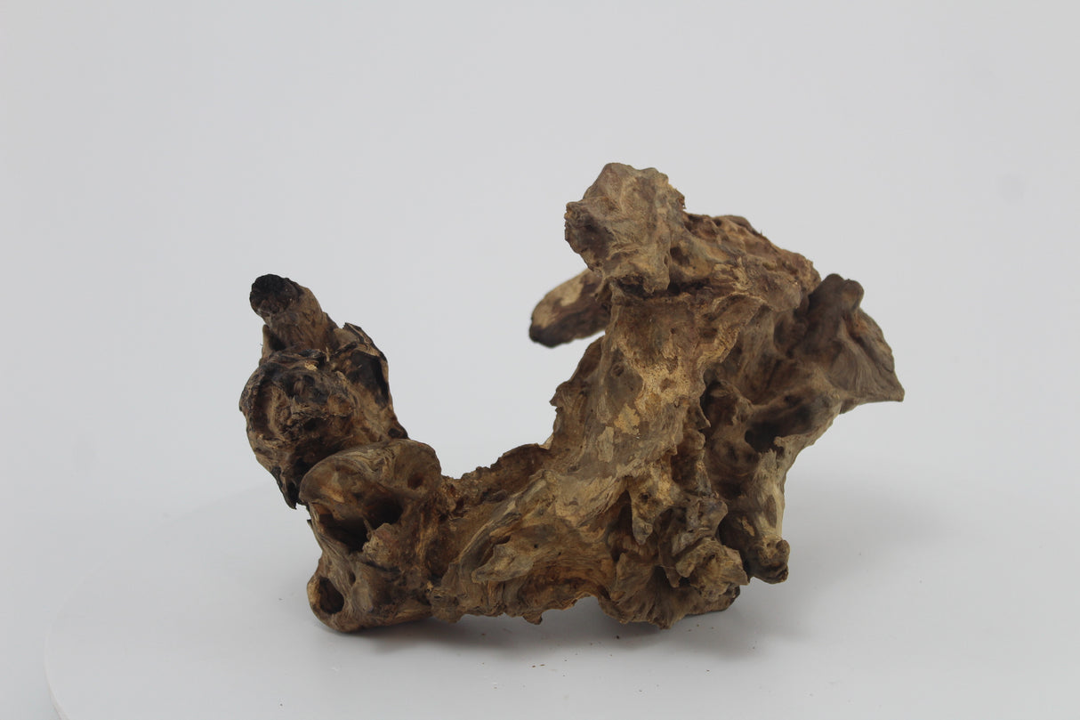 Raíz Opuwa para acuario