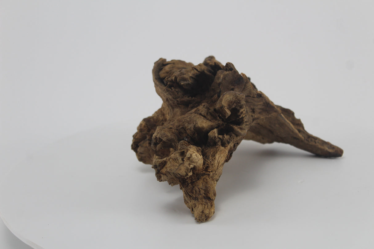 Raíz Opuwa para acuario