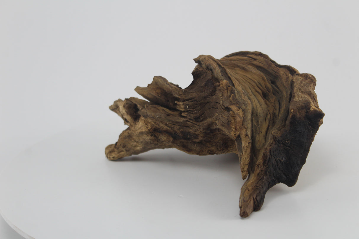 Raíz Opuwa para acuario