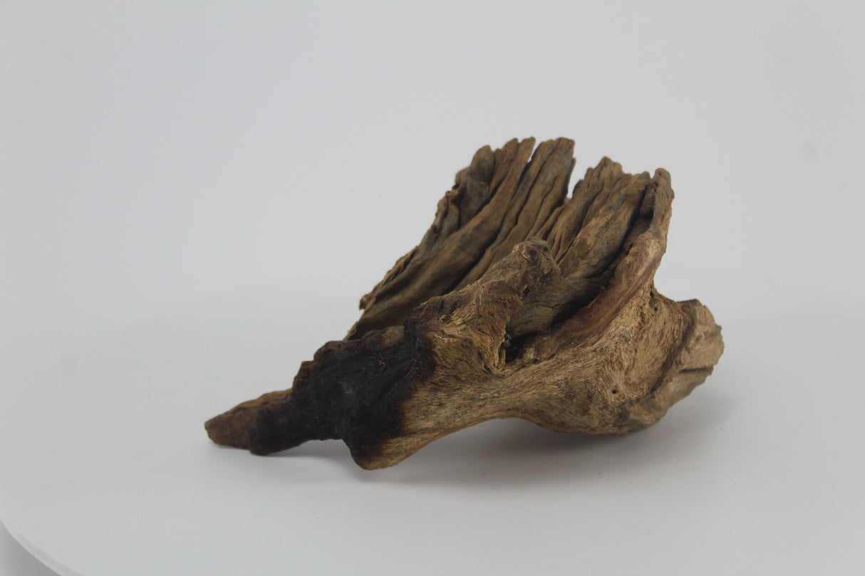 Raíz Opuwa para acuario