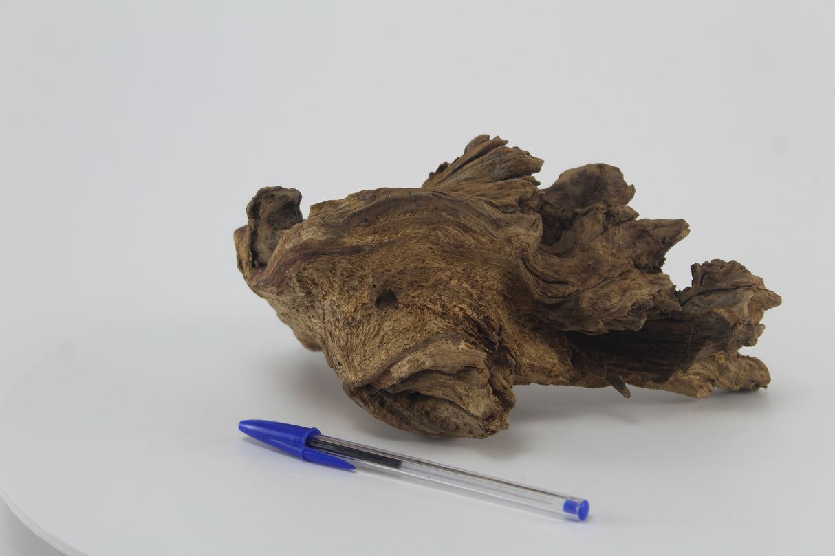 Raíz Opuwa para acuario